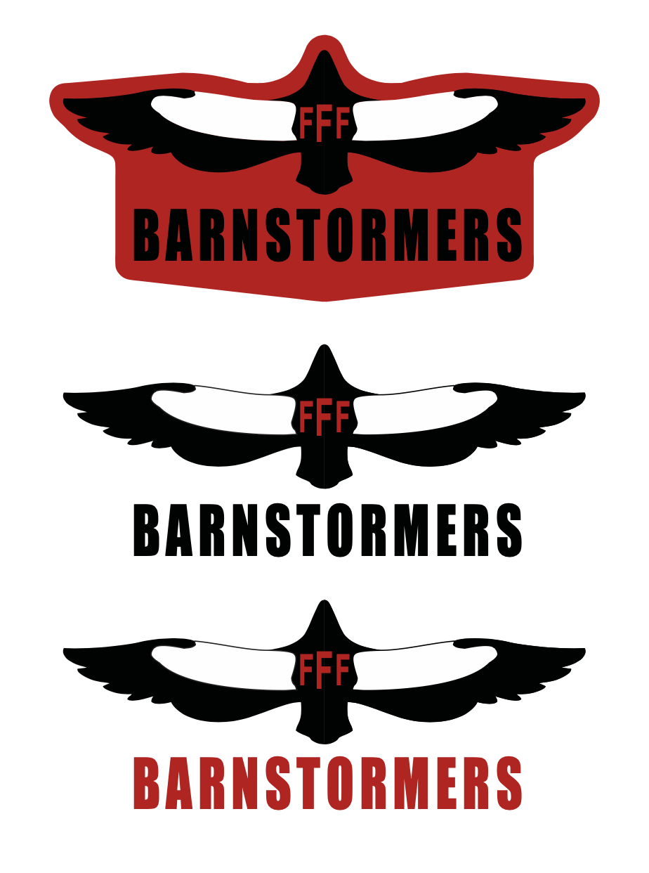 Original Barnstormer Wings